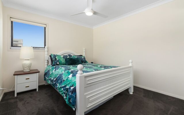 Casuarina Dreaming
