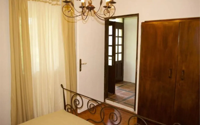 Apartment Renata