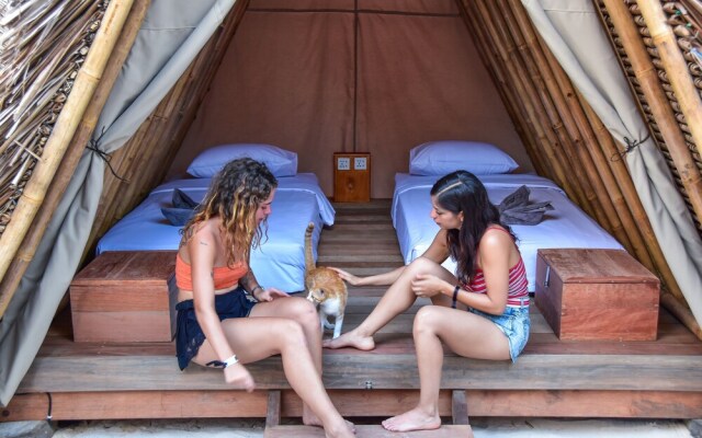 Mad Monkey Gili Trawangan - Hostel