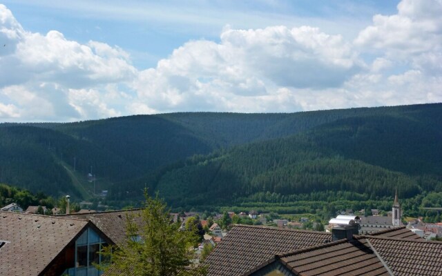Blank Titisee-neustadt