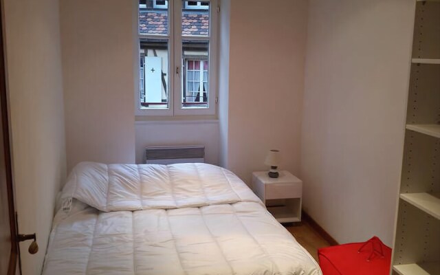 Appartement Les Tanneurs Colmar Le Green
