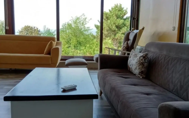 Fascinating Villa With Private Pool in the Heart of Nature in Sapanca - Villas_and_Bungalows in Sakarya - Photo 3