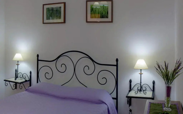 Quinta Da Fonte Do Lugar