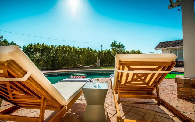 Exeter - Agave in Phoenix