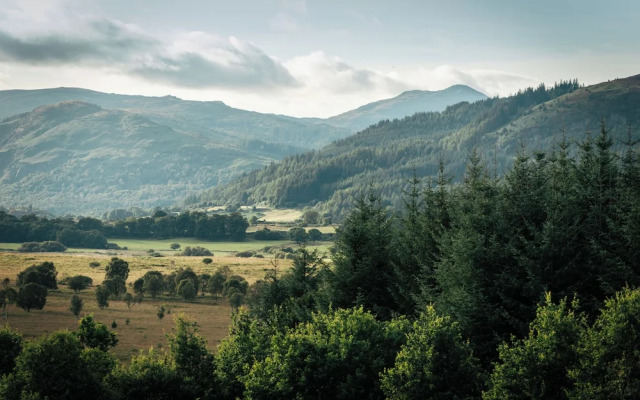 Cardross Estate Glamping