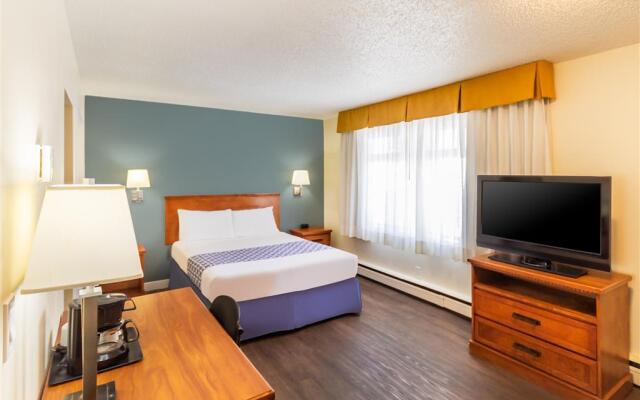 Econo Lodge Inn & Suites University