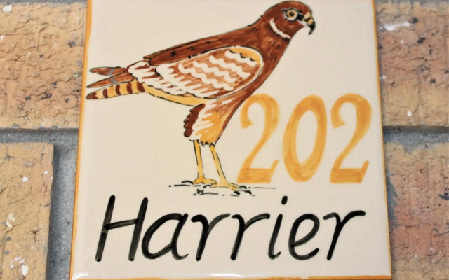 South Shore Beach Apartments, Harrier 202