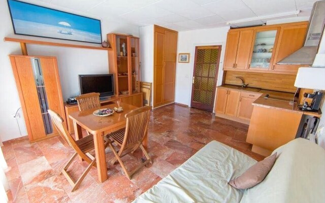 Palmeras 5.2
