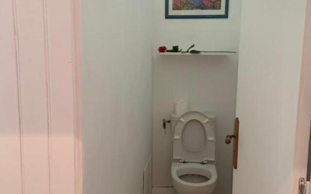 La Jonquille de St Vaast La Hougue