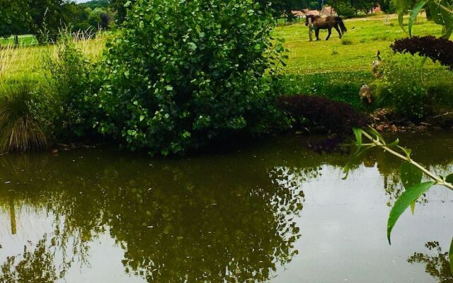 Paardenhof Guesthouse