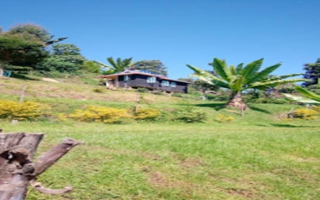 Hills Dacha