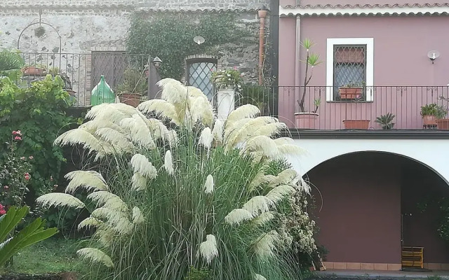 ETNANTE