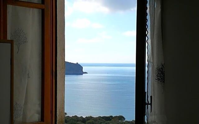 Il Sogno di Vincenzo e Maria