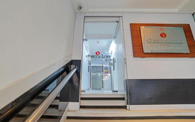 ZO Cherry Tree Palasia