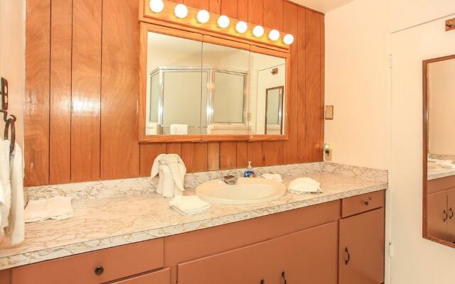 Snowy Mountain House