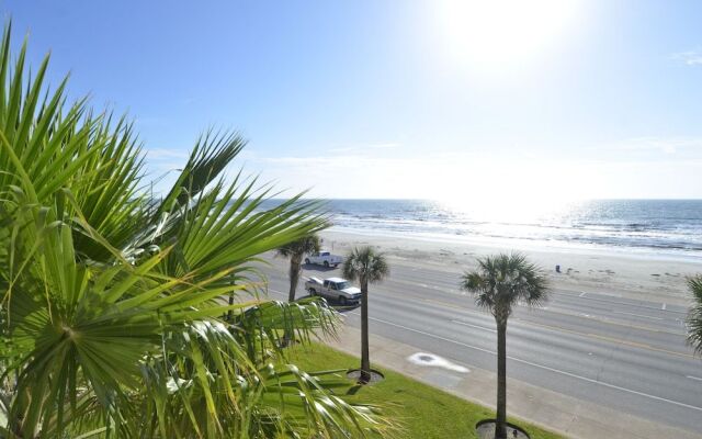 The Regal Seagull by RedAwning