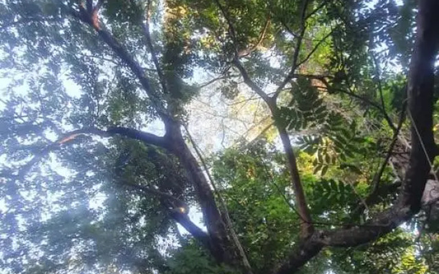 Park Veredas Flat 322