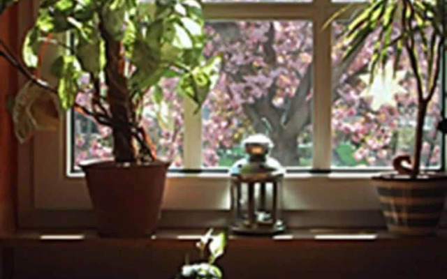 Hotel Rosengarten Kehl