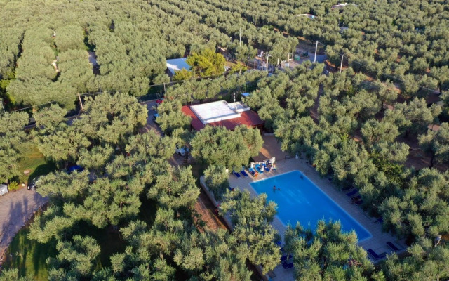 Ferienwohnung "ulivo" mit Pool und Privatstrand -1