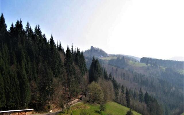 Ferienwohnung Burgblick