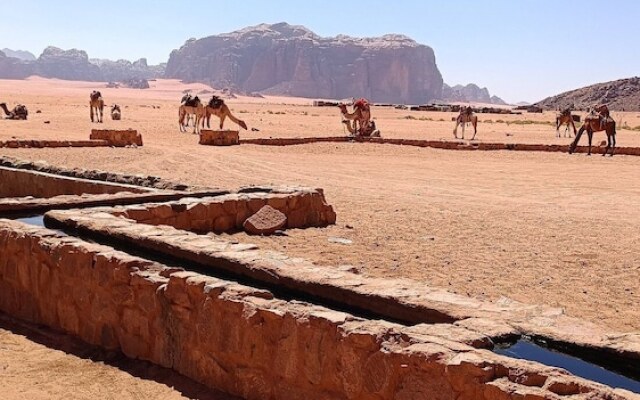 Wadi Rum Classic Camp