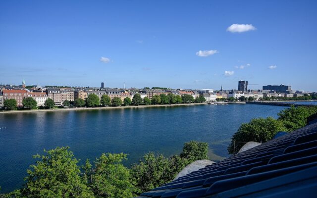 Spacious 3-bedroom Apartment With a Rooftop Terrace in the Center of Copenhagen