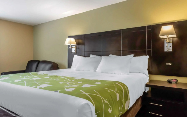 Econo Lodge Boaz