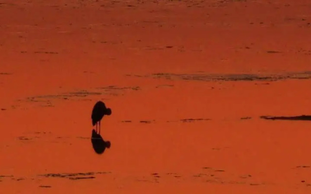 The Inn at St. Peters