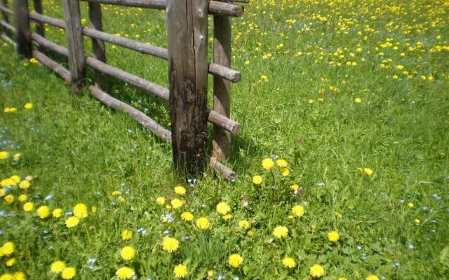 Appartements Respiration Almhaus Pfister