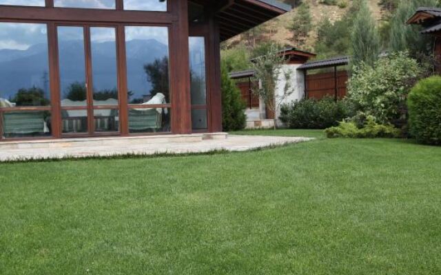 Luxury Villa Bansko 2