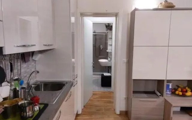 Irnerio 1471 Bologna Hld 34482