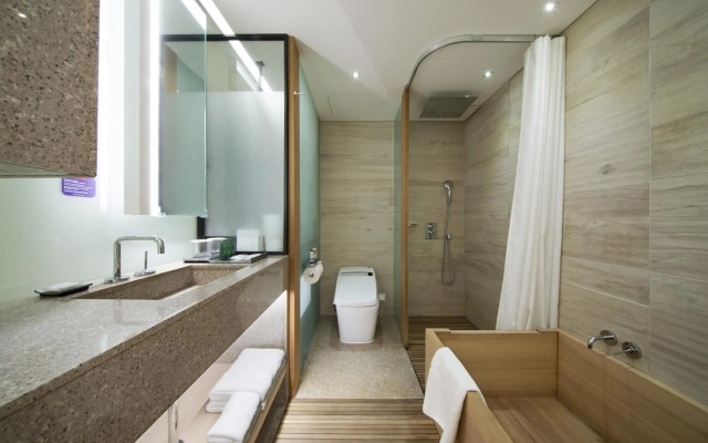 Sotetsu Hotels The Splaisir Seoul Myeong-Dong