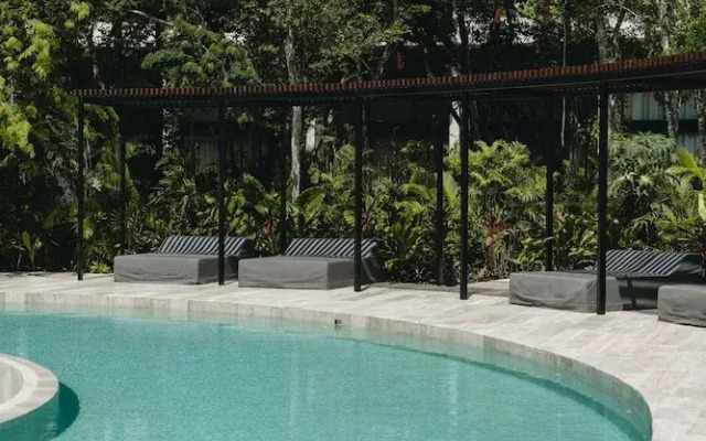 Beautiful Jungle Loft With Rooftop Pool and Gym