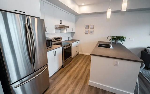 Gorgeous Modern Downtown Condo