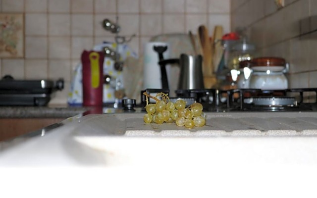 Georgiou Villa in Action