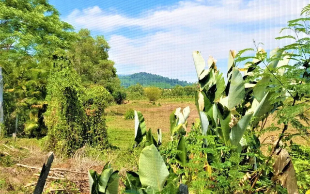 Nestvilla Khok-kloi Phang-nga