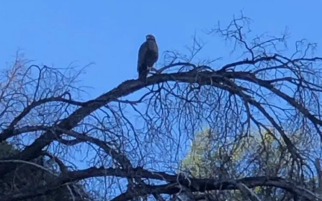 Origen del Maipo Lodge