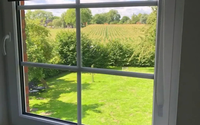 Charmante Wohnung mit Terrasse in Oldenburg