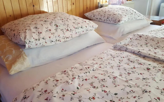 Sovica