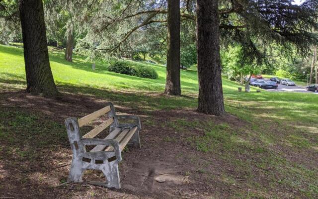 T1 au coeur d'un parc classé à Saint-Etienne