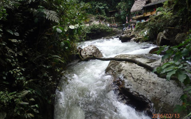 Biohostal Mindo Cloud Forest