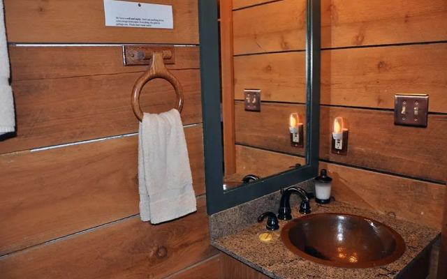 Mountain Bearadise 2 Bedrooms 2 Bathrooms Cabin