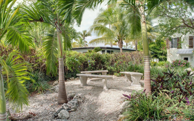 Coconut Palm Inn