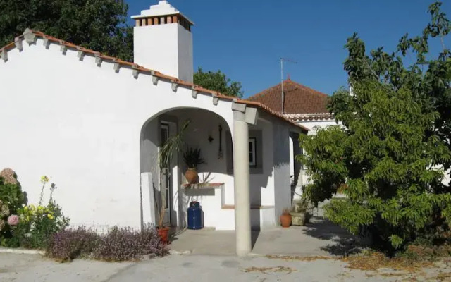 São Silvestre, Horse Farm