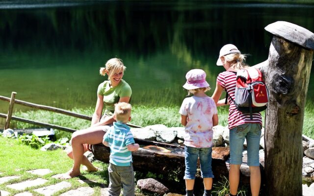 Luxurious Holiday Home in Turracherhöhe Near Ski Area