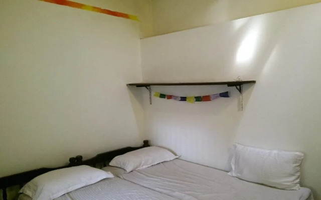 The Lazy Llama Hostel