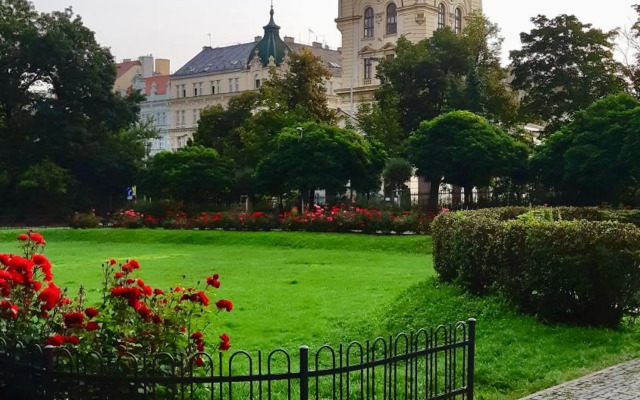 Cozy studio in Vinohrady