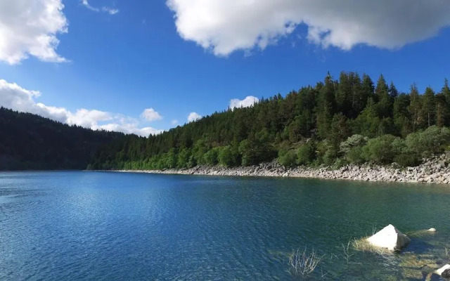 VVF Club Intense La Route des Vins d'Alsace Orbey