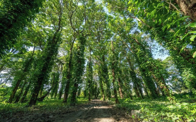 REFUGIO Sabaneta de Yásica