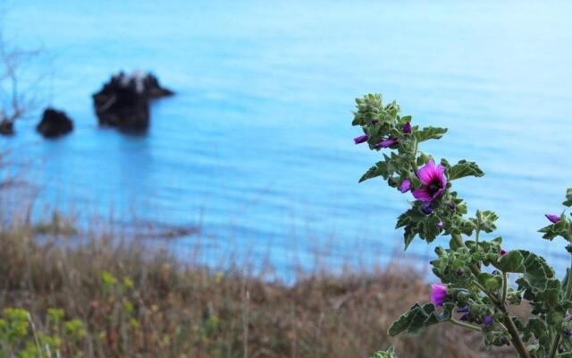 Appartement Cap d'Agde, 1 pièce, 4 personnes - FR-1-607-71